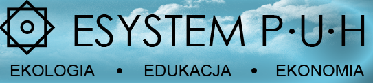 Zdjęcie przedstawia logo firmy Esystem